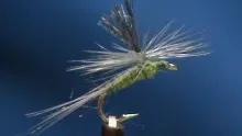 Video thumb for Z Lon Wing Parachute BWO