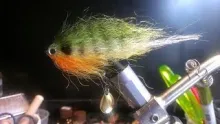 Video thumb for Bushwhacker weedless baitfish fly