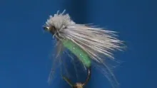 Video thumb for Acrylic Granny Apple Caddis