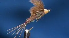 Video thumb for Floating Pheasant Tail