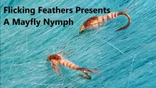 Video thumb for Mayfly Nymph