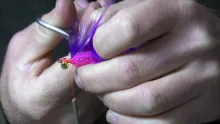 Video thumb for Samurai Shank Steelhead Fly