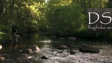 Video thumb for Small stream danica fishing