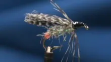 Video thumb for Teal and Partridge Hot Spot Wet Fly