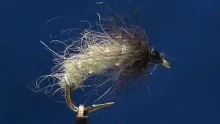 Video thumb for D Rib Caddis Larva