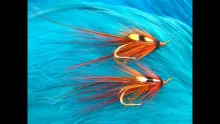 Video thumb for The Phoenix Shrimp (Salmon Fly) 