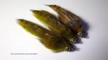 Video thumb for Olive Sculpin