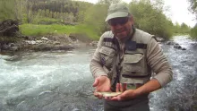 Video thumb for Fly fishing in Camprodón valley, Catalonia.