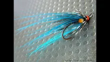 Video thumb for Nagli Spey Salmon Fly