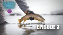 Video thumb for Fly Fishing in Narnia - Ep.3 Buffet Series - Fly Fishing Winter Adventure Film!