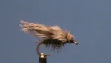 Video thumb for Chicken Poop Caddis