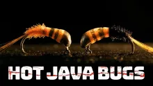 Video thumb for Hot Lava Bug