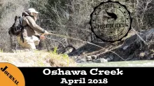 Video thumb for Skunked on Oshawa Creek