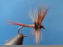 Video thumb for BBQ Dry Fly