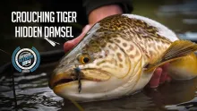 Video thumb for Crouching Tiger, Hidden Damsel