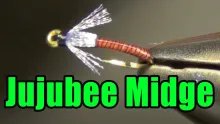 Video thumb for Jujubee Midge