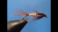 Video thumb for March Brown Nymph