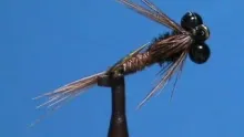 Video thumb for Bead Eye Pheasant Tail Nymph