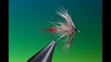 Video thumb for Soft Hackle Emerger