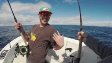 Video thumb for Unreal Fly Fishing for Blue Sharks