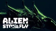 Video thumb for Alien Stonefly