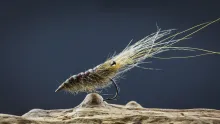 Video thumb for Spikey Shrimp