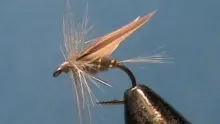 Video thumb for Blue Sedge Classic Dry Fly