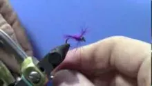 Video thumb for Ryan's Purple UV CDC Nymph