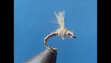 Video thumb for Spring Creek Midge