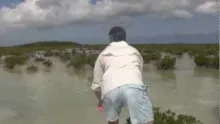 Video thumb for Turks and Caicos Bonefishing 