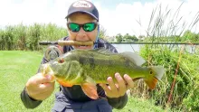 Video thumb for Peacock Bass and Largemouth Bass in South Florida