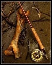 User submitted picture: bones!