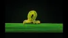 Video thumb for Inch Worm Caterpillar