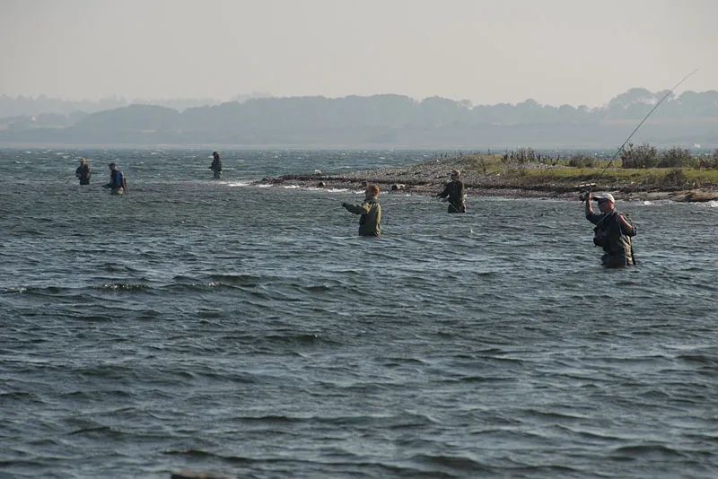 Crowded? No! - In spite of the fact that we were 16 anglers fishing together, we could easily spread out along the coast, and when the people fishing this close to you are someone you know, it\'s usually not a problem. Any other day this would be too much.