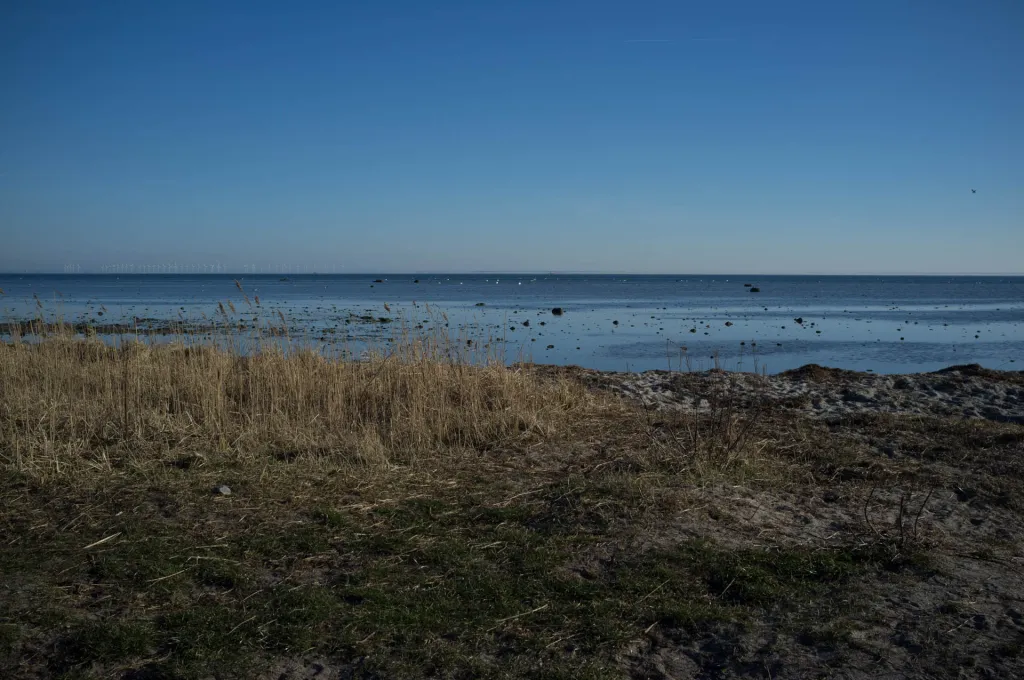 Shallow - The water is shallow at Amager South Beach, but don\'t let that fool you. You can wade out to deeper water.