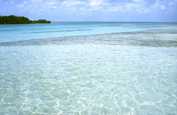 Bonefish turf - This is a very likely bonefish habitat. Shallow sand flats, deeper channels, turtle grass beds and mangrove. When the tide sweeps back and forth over this area, bonefish will probably follow.
