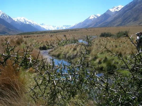 User submitted picture: It is almost impossible t...