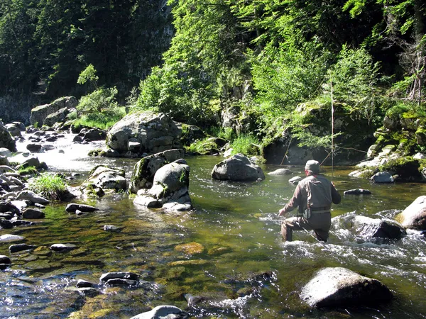 User submitted picture: "Wild nymphing" by guid...