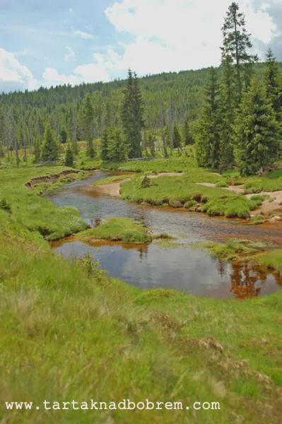 User submitted picture: www.tartanadbobrem.com