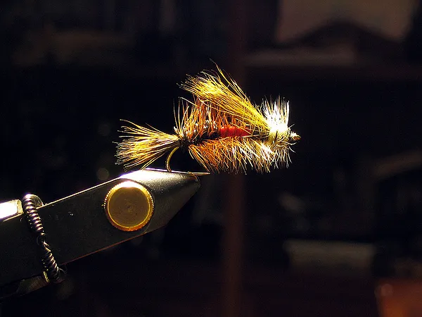 User submitted picture: Royal Stimulator. Tiemco ...