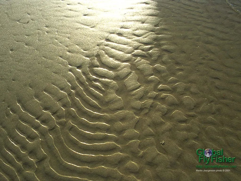 Computer screen wallpaper: Small waves left ripples in the sand.