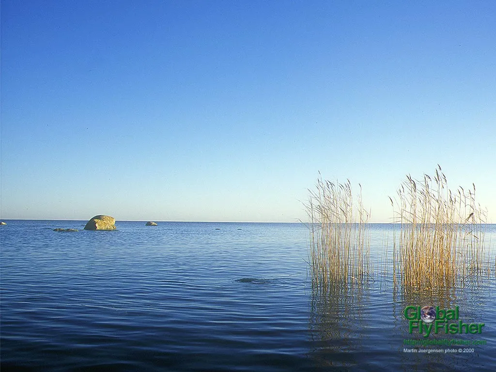 Computer screen wallpaper: A calm scene on the Swedish coast.
